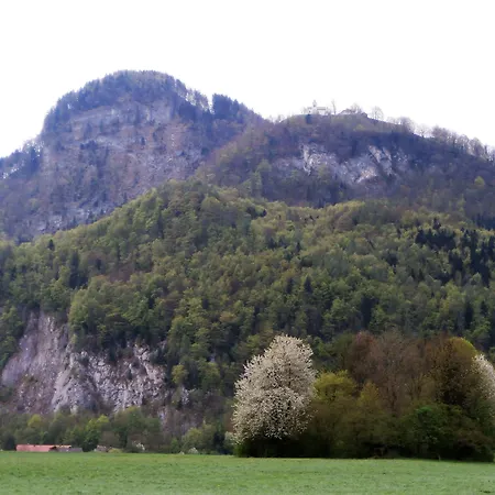 Aparthotel Falkenstein - Metzgerei Schwaiger -
