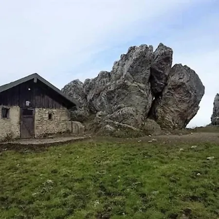 Aparthotel Falkenstein - Metzgerei Schwaiger -
