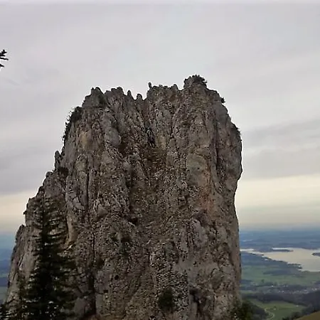 Aparthotel Falkenstein - Metzgerei Schwaiger -