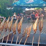 发尔肯史丹马兹葛赖史外葛卡斯托夫旅馆 3* 弗林茨巴赫