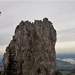 アパートホテル Falkenstein - Metzgerei Schwaiger -