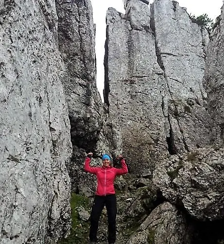 Falkenstein - Metzgerei Schwaiger -